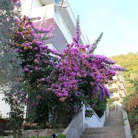 4M Apartments Petrovac Exteriér fotografie