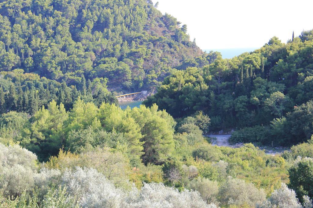 4M Apartments Petrovac Pokoj fotografie